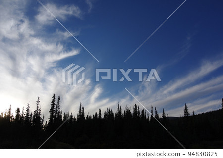 A landscape of refreshing clouds spreading in the blue sky and the silhouette of a coniferous forest 94830825