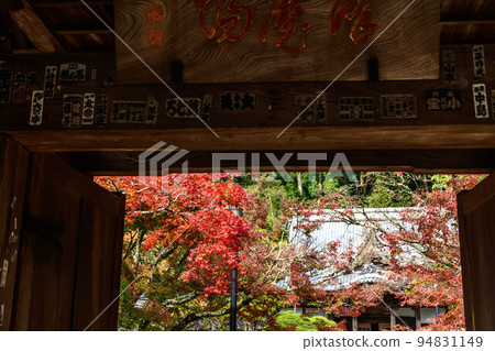 靜岡縣伊豆市修善寺的紅葉 94831149