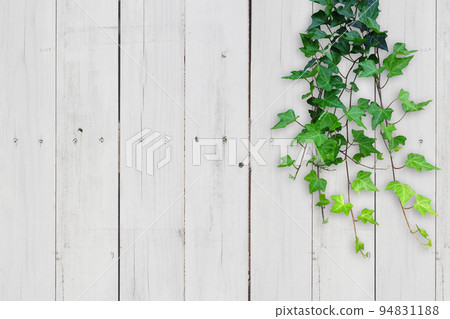 wood grain background and green 94831188