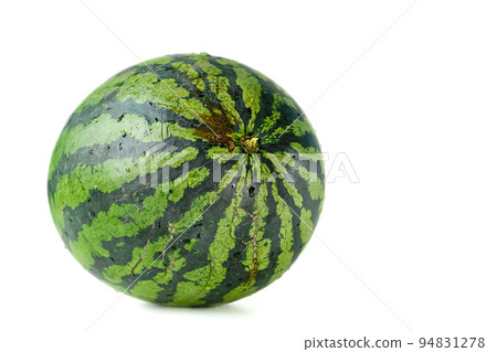 Whole watermelon on white background, space for text, close-up, at eye level. Oblong giant berry in green smooth thick rind on light monochrome surface. Whole watermelon on white background, space for text, close-up, at eye level. Oblong giant berry in green smooth thick rind on light monochrome surface. 94831278