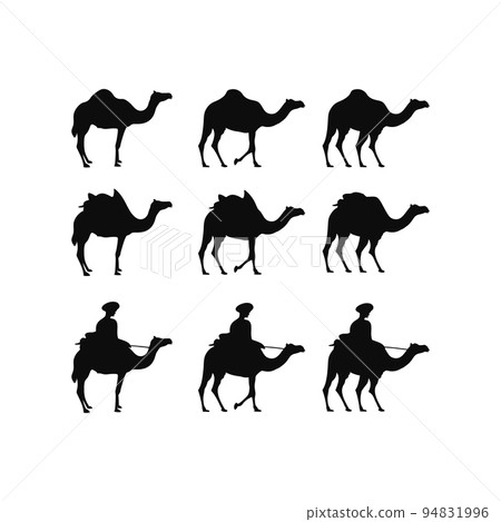 Set of camel symbol illustration design element. Vector template isolated on white background. 94831996