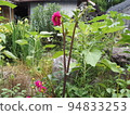 Home garden 94833253