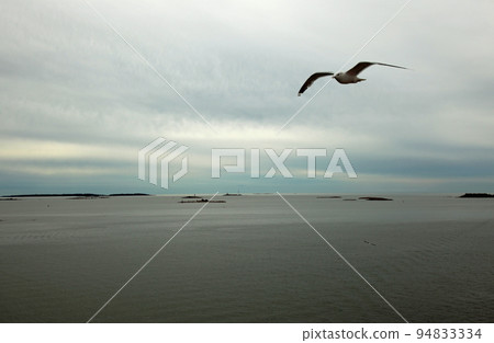 Seagulls flying around the harbor of Helsinki in a cloudy sky 94833334