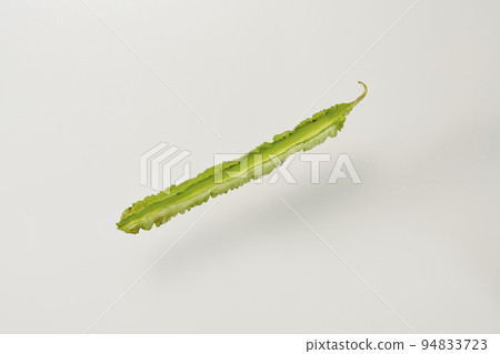 A single specimen of a soybean placed in the center. A single specimen of a soybean placed in the center. 94833723