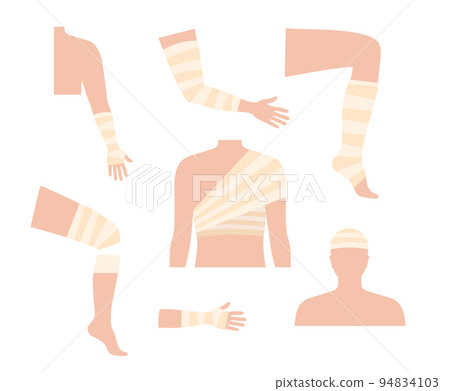 Human limbs trauma 94834103