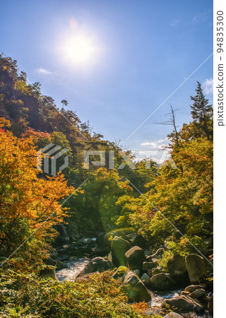 Yamanashi Prefecture Autumn leaves Shosenkyo 94835300