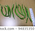 青辣椒 劍崎難波 傳統蔬菜 94835350