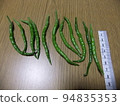 青辣椒 劍崎難波 傳統蔬菜 94835353