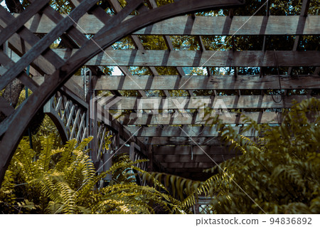 Sunlight passing through Interior of a wooden domestic greenhouse for growing fern trees. Sunlight passing through Interior of a wooden domestic greenhouse for growing fern trees. 94836892