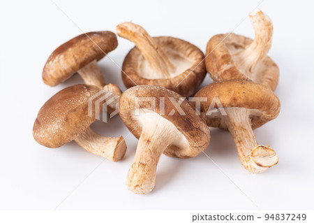 Shiitake mushroom Shiitake mushroom 94837249