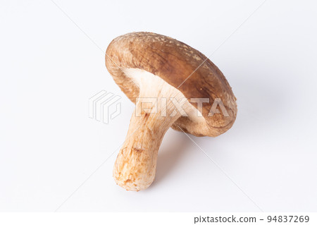 香菇 94837269