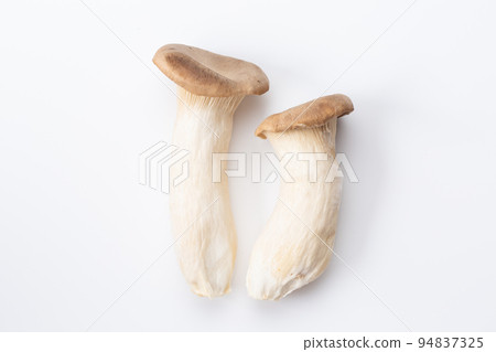 king oyster mushroom 94837325