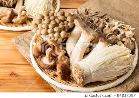 蘑菇集合 蘑菇集合 94837397