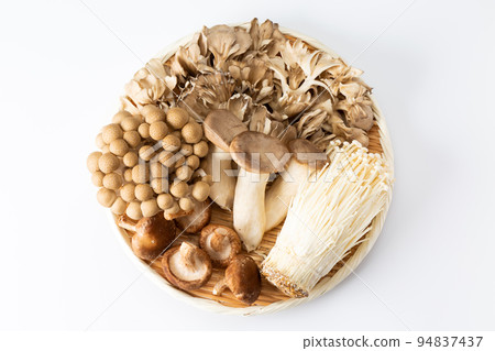 Mushroom collection 94837437
