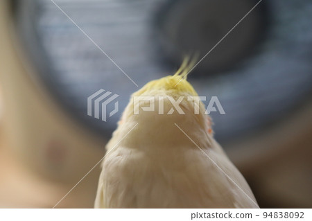 毛茸茸 毛茸茸 94838092