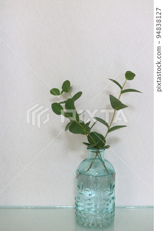 How eucalyptus is displayed in the niche of the house 94838127
