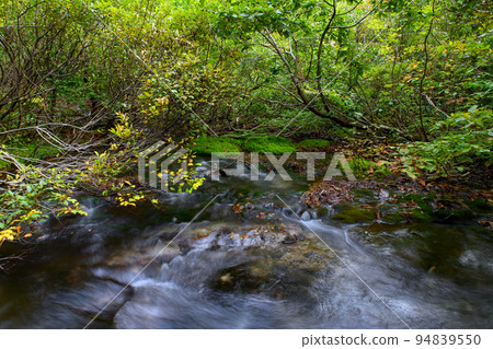 Shishigahana Wetland Moss Colony Akita Prefecture Shishigahana Wetland Moss Colony Akita Prefecture 94839550
