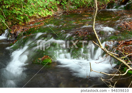 Shishigahana Wetland: Beautiful clear stream and Chokai Marimo (Akita Prefecture) Shishigahana Wetland: Beautiful clear stream and Chokai Marimo (Akita Prefecture) 94839810