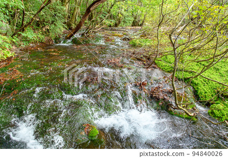 Shishigahana Wetland: Beautiful clear stream and Chokai Marimo (Akita Prefecture) 94840026