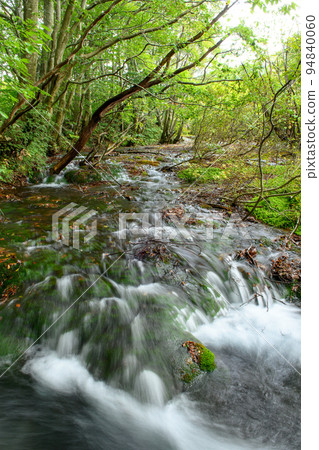 Shishigahana Wetland: Beautiful clear stream and Chokai Marimo (Akita Prefecture) 94840060