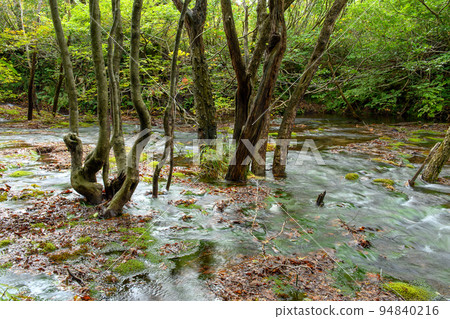 Shishigahana濕地:美麗的清澈溪流和Chokai Marimo(秋田縣) Shishigahana濕地:美麗的清澈溪流和Chokai Marimo(秋田縣) 94840216