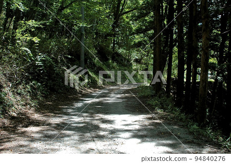 渡瀨川麻糬的支流是沿著瀨川川的林道 渡瀨川麻糬的支流是沿著瀨川川的林道 94840276