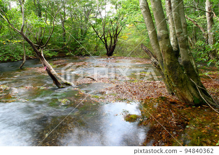 Shishigahana Wetland: Beautiful clear stream and Chokai Marimo (Akita Prefecture) Shishigahana Wetland: Beautiful clear stream and Chokai Marimo (Akita Prefecture) 94840362