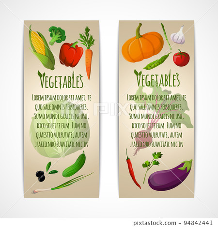 Vegetables vertical banners 94842441