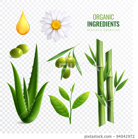 Realistic Transparent Organic Cosmetics Ingredients Icon Set 94842972