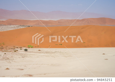 Sossusvlei 94843251