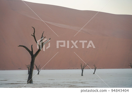 Dead Fray Dead Fray 94843404