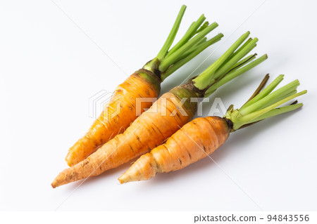 Carrot (pesticide-free vegetable) 94843556