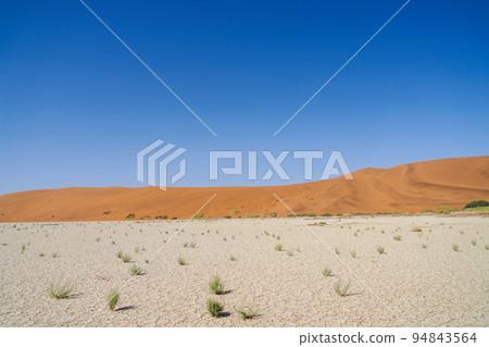 Namib Desert 94843564