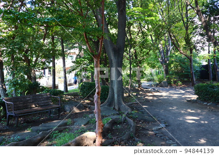 橫濱市營地鐵藍線新田站附近的新田綠道 橫濱市營地鐵藍線新田站附近的新田綠道 94844139
