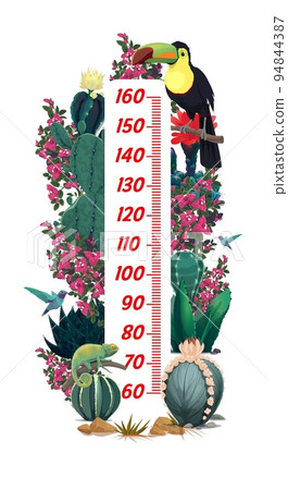 Kids height chart with mexican toucan, cactuses flowers. Child growth meter or height measure vector chart, kids growth ruler with mexican flora and fauna plants, chameleon lizard and hummingbirds 94844387