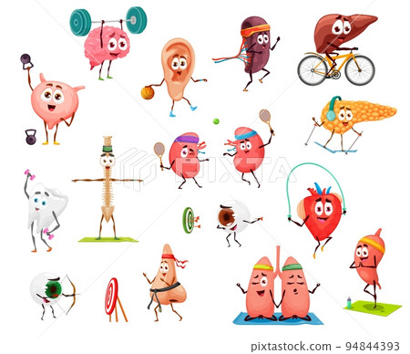 Cartoon funny human organs on yoga sport and fitness. Vector characters bladder, brain, ear and kidney, liver, spine and tooth. Spleen, lungs, heart and stomach, nose, eyeball and pancreas personages Cartoon funny human organs on yoga sport and fitness. Vector characters bladder, brain, ear and kidney, liver, spine and tooth. Spleen, lungs, heart and stomach, nose, eyeball and pancreas personages 94844393