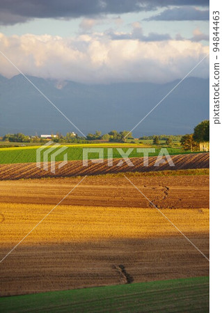 Biei-cho, Hokkaido Autumn patchwork road 94844463
