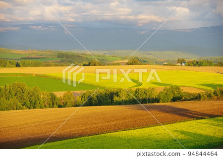 北海道美瑛町秋季拼布路 94844464