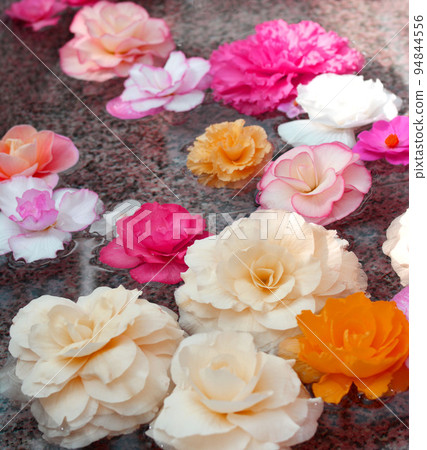 Flowers floating on water 94844556