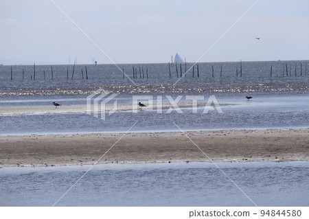 沙灘上有水禽走在淺灘、木樁、波光粼粼的海面、朦朧的藍天和雲景 94844580