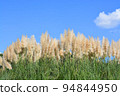 Pampas grass fluttering in the autumn sky 94844950