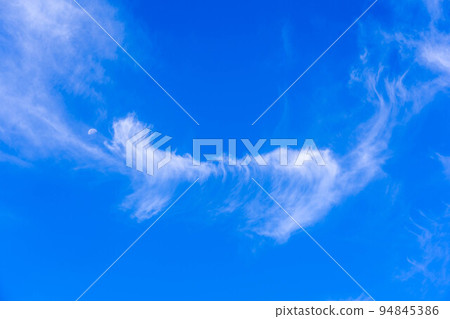 清爽的秋空～貓食月～ 94845386