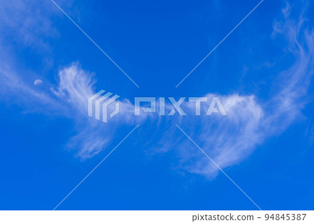 Refreshing autumn sky ~Cat eating the moon~ 94845387