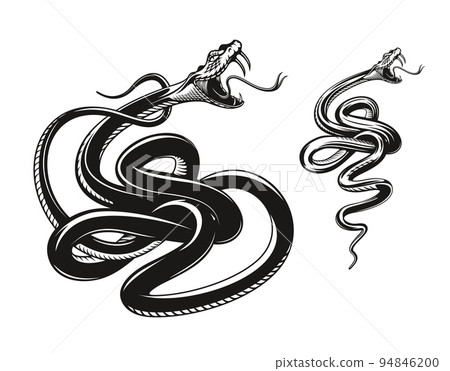 Angry snake tattoo, rattlesnake or viper, aggressive serpent. Angry vector snake with fangs and tongue attack, black viper or rattlesnake serpent for tattoo, mascot 94846200
