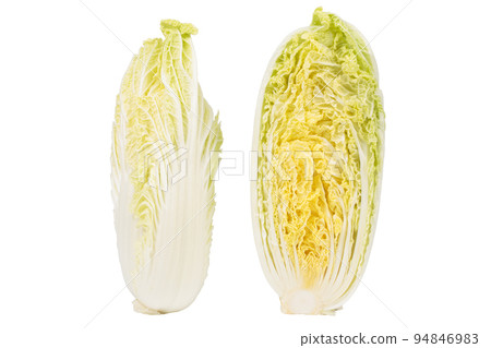 Cross section and whole Napa cabbage. Cross section and whole Napa cabbage. 94846983