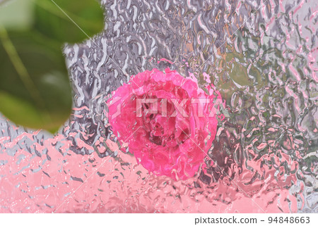 textured blurred glass background with rose flower behind. pink flower defocused. backdrop for website or advertizing, blogger holiday content, textured blurred glass background with rose flower behind. pink flower defocused. backdrop for website or advertizing, blogger holiday content, 94848663