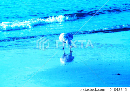 Color sea wave bird seagull (registered in October 2022) Color sea wave bird seagull (registered in October 2022) 94848843