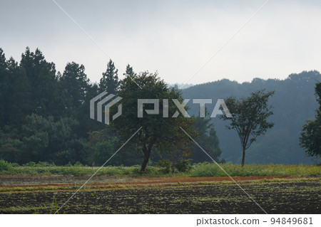 秋天的寧靜風景 秋天的寧靜風景 94849681