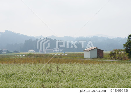 tranquil scenery in autumn tranquil scenery in autumn 94849686
