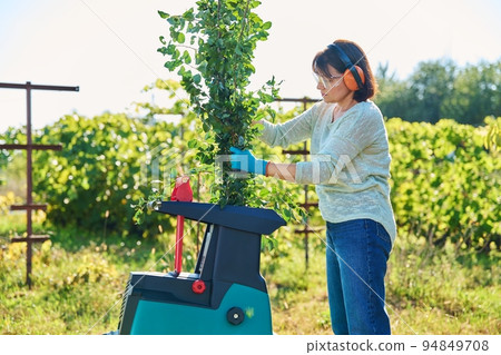 Woman using electric garden shredder for branches and bushes 94849708